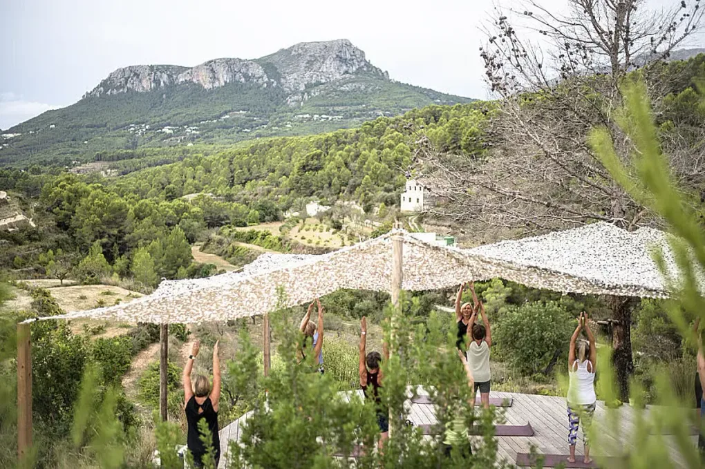Kvinnor som praktiserar yoga i lugn naturmiljö under retreat
