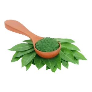 Ayurvediska örter och naturliga ingredienser för holistiskt välmående