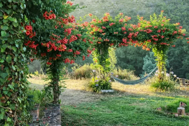 En hängmatta vilar under en blommande båge i en grön trädgård med kuperat landskap i bakgrunden.