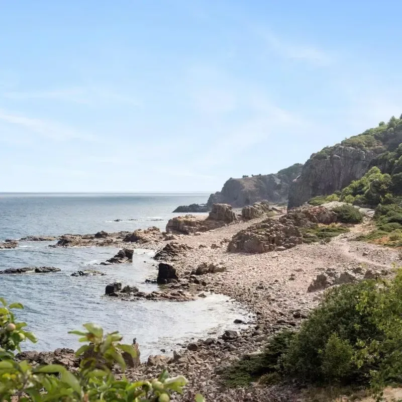 Klippig kust med stenstrand, hav och grönskande vegetation i Torekov under en klarblå himmel.
