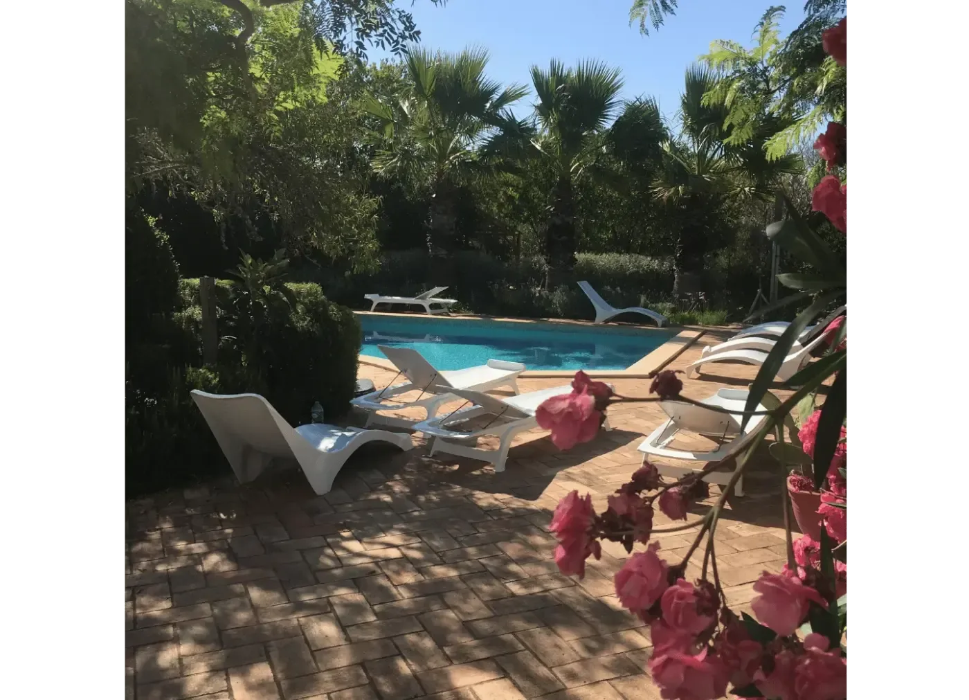 Utomhuspool med solstolar och natur runt omkring vid bokaretreats Salema