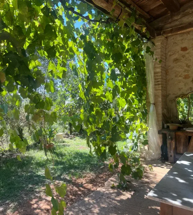 Grönskande pergola och trädgård vid retreat i Italien