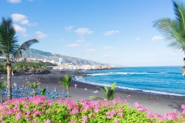 Svart sandstrand med palmer och rosa blommor, blått hav och kuststaden Puerto de la Cruz nedanför gröna berg.