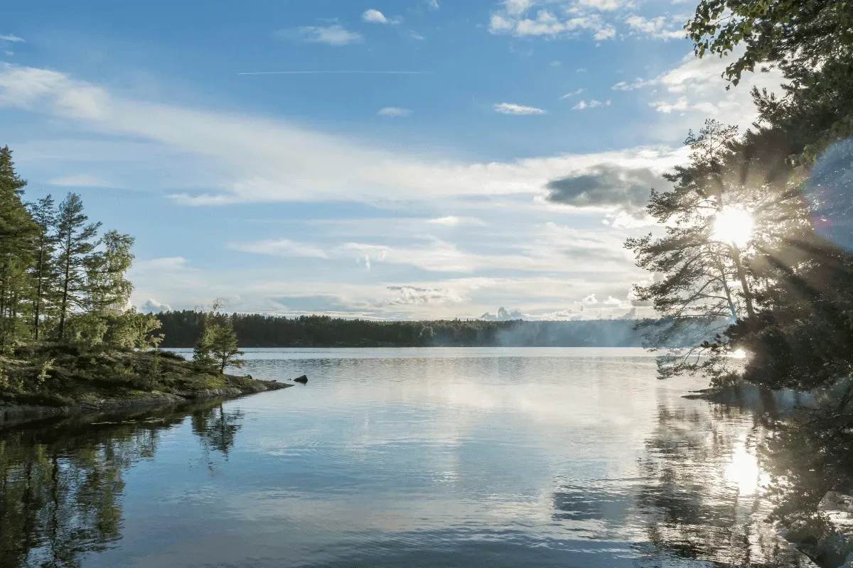 Lugn sjö omgiven av skog vid soluppgång i svensk natur