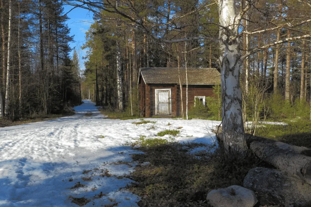 Traditionell stuga vid snötäckt skogsväg i Sverige
