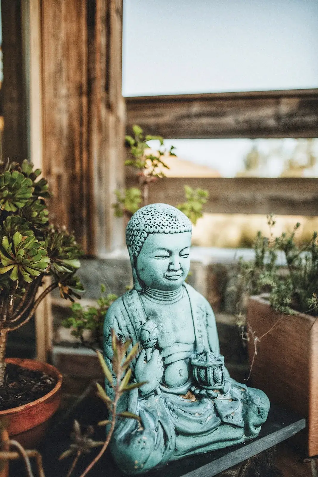 En turkos Buddhastaty sitter bland krukväxter framför ett rustikt träfönster.