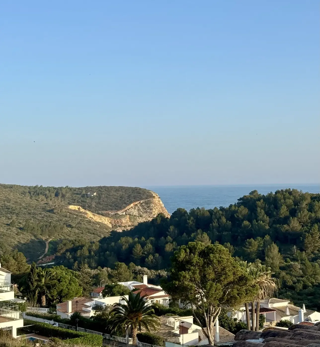 Gröna naturområden i det vackra landskapet i Algarve regionen