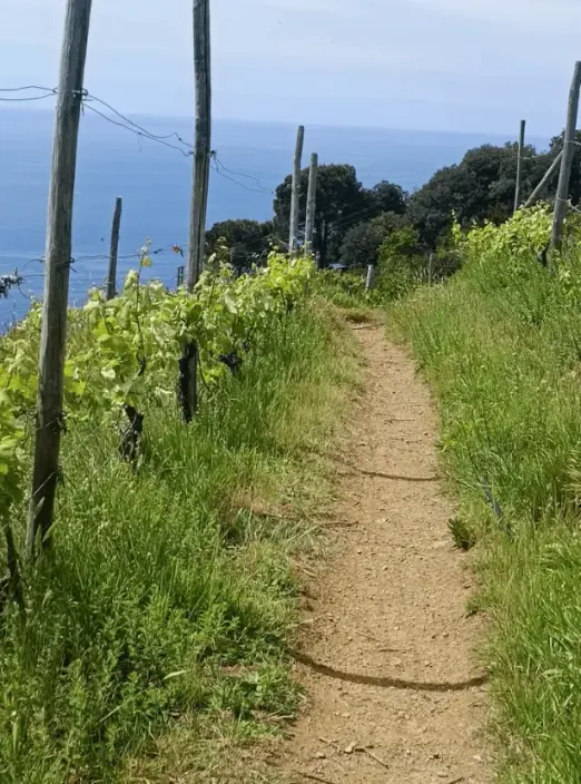 En grön vandringsled i Italien