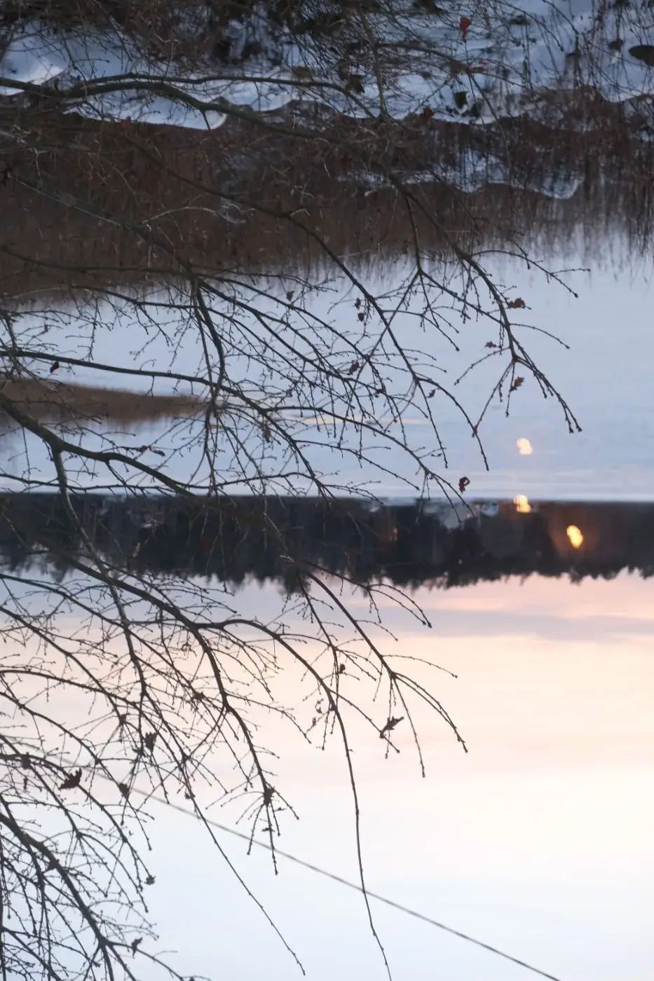 Kala trädgrenar ramar in ett snötäckt vinterlandskap med mörk skog och varmt ljus i skymningen.