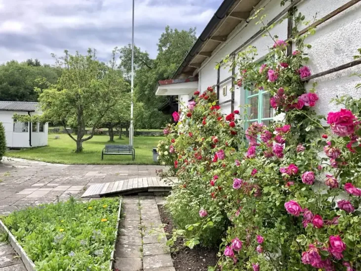 Blomstrande trädgårdsmiljö vid retreatboende på Gotland