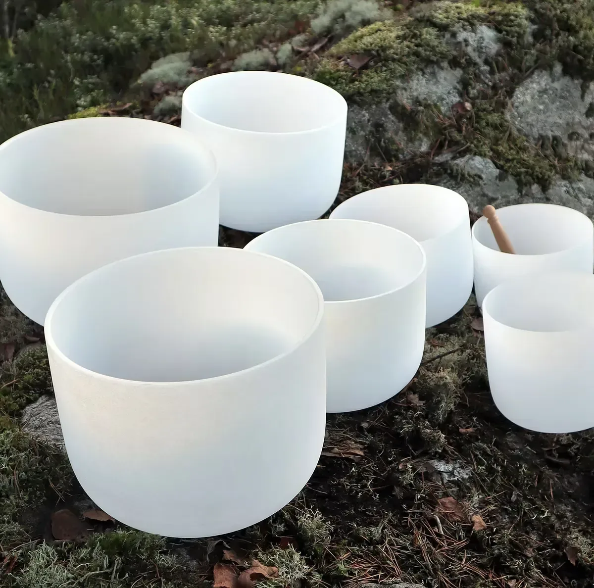 Vita klangskålar står placerade bland mossa, lav och stenar utomhus.